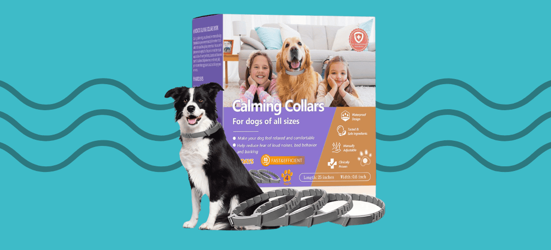 Top Calming Collars for Anxious Dogs
