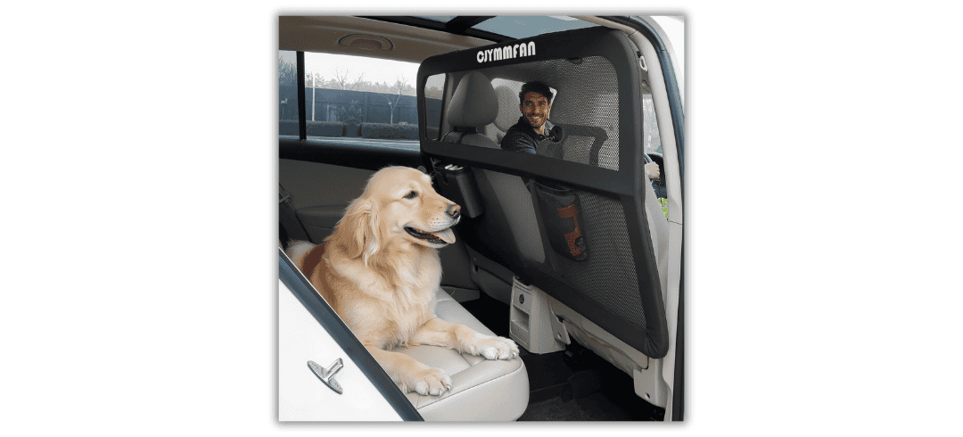 The Best Car Barriers for Dog Owners 