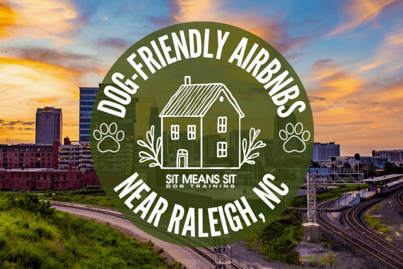Dog-Friendly Airbnbs in Raleigh, NC