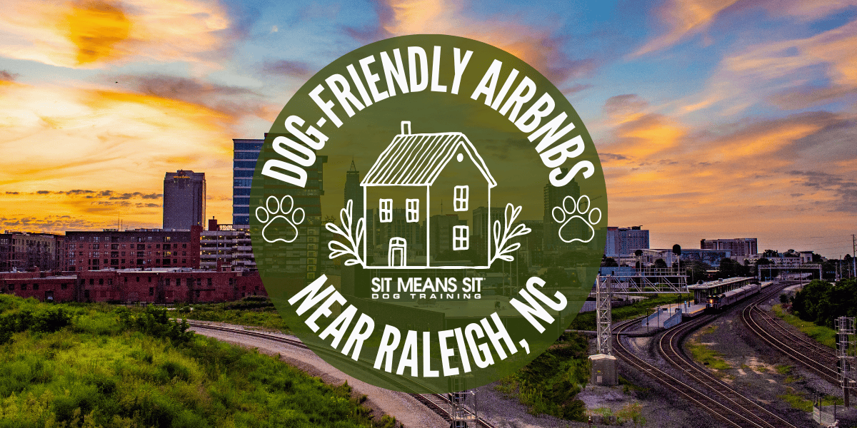Dog-Friendly Airbnbs in Raleigh, NC