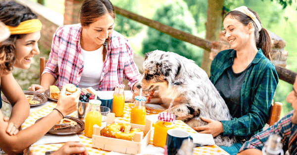 Safety Tips for Barbequing Around Your Dog