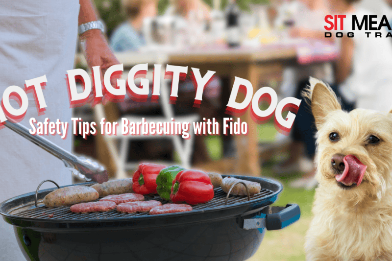 Safety Tips for Barbecuing Around Your Dog