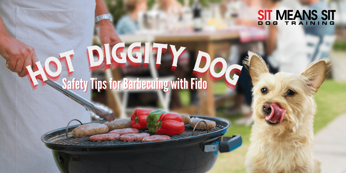 Safety Tips for Barbecuing Around Your Dog