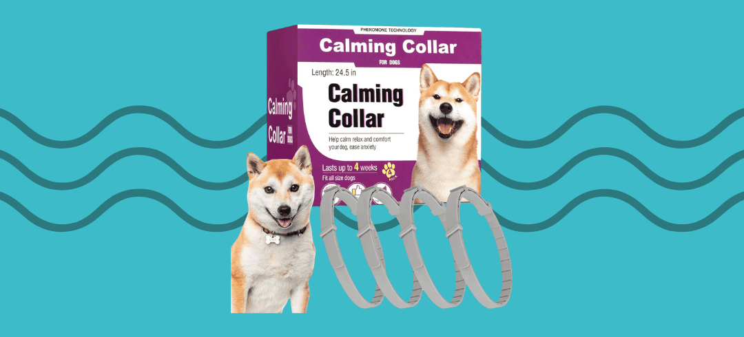 Top Calming Collars for Anxious Dogs