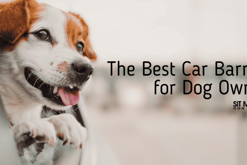 The Best Car Barriers for Dog Owners