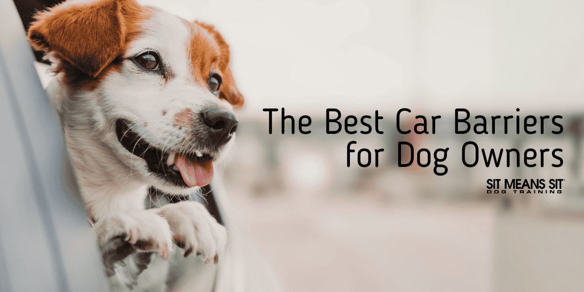 The Best Car Barriers for Dog Owners