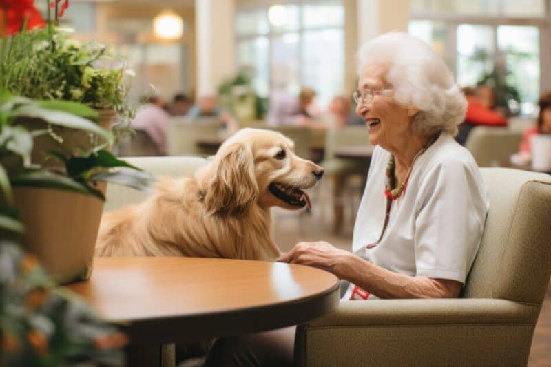 Therapy Dog Training