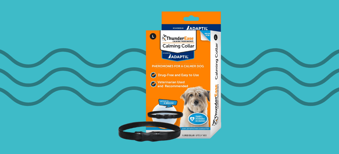 Top Calming Collars for Anxious Dogs