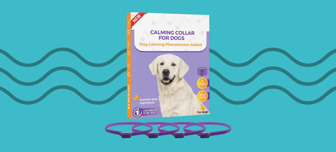 Top Calming Collars for Anxious Dogs